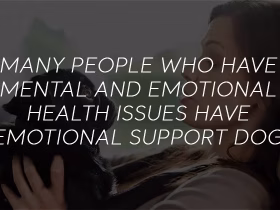 How Dogs Show That They Love Us: Top 10 Signs