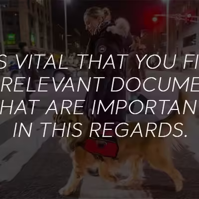 What Are The Rules In Regards To Emotional Support Dogs In Hotels?