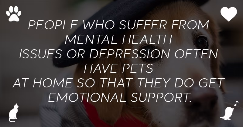 How To Get An Esa Dog 01