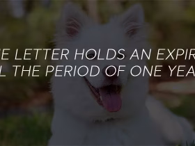 What Are The Formalities Involved in Registering ESA Dog?