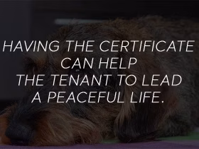 Housing Rights for Emotional Support Animal