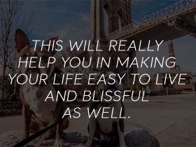 How to Get an Emotional Support Animal in New York