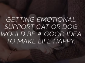 Stay Healthy Mentally with Emotional Support Animals