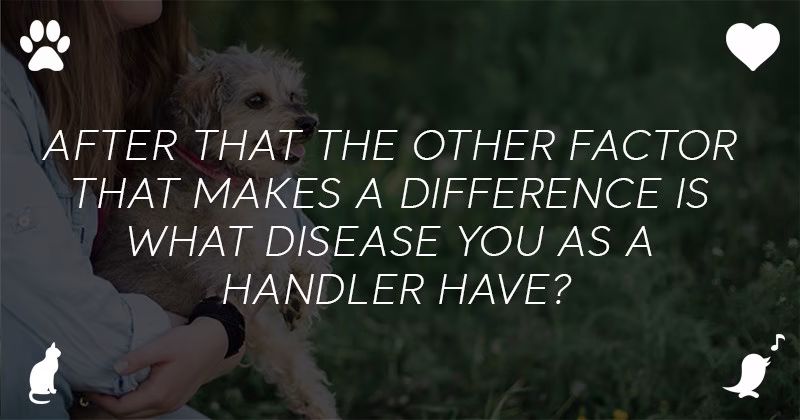 Requirements of Emotional Support Animal Letter