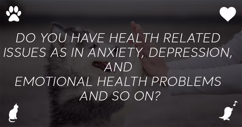 Requirements of Emotional Support Animal Letter