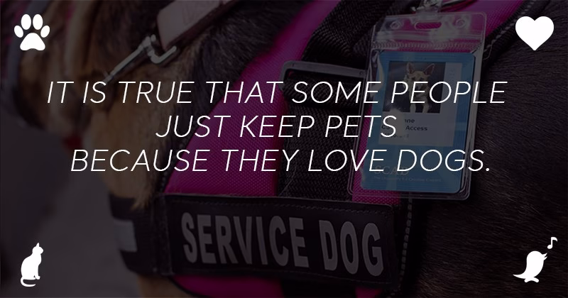 What Is An Emotional Support Dog 01