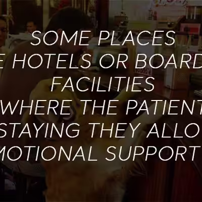 Are ESA Dogs Allowed in Public Places?