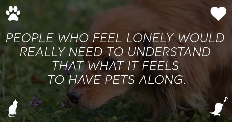 Training The Dog To Be an Emotional Support Animal