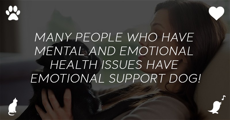 Many people who have mental and emotional health issues