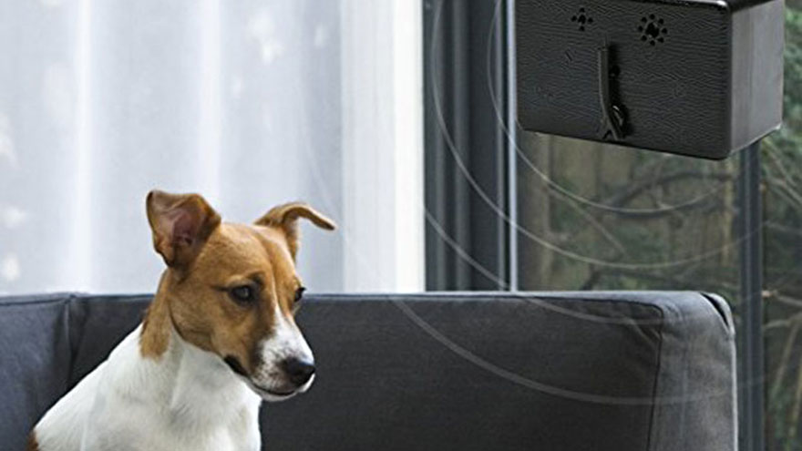 dog Anti-Barking Devices