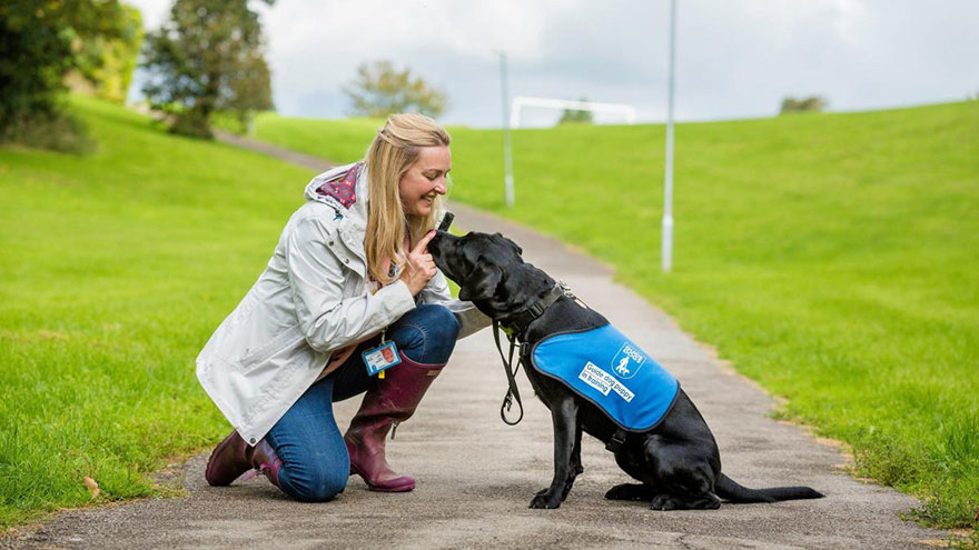 Guide Dog Training