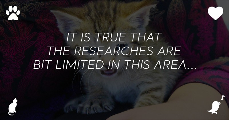 It is true that the researches are bit limited in this area