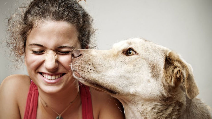 Illnesses That Dogs Can Get From People