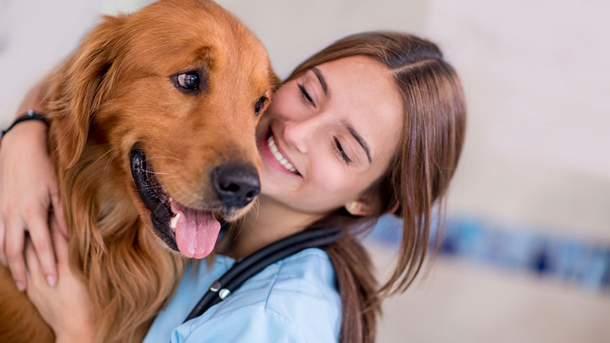 Canine Mouth Infections